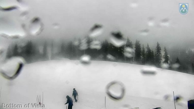 Webcam Mount Hood Meadows: Bottom of Vista