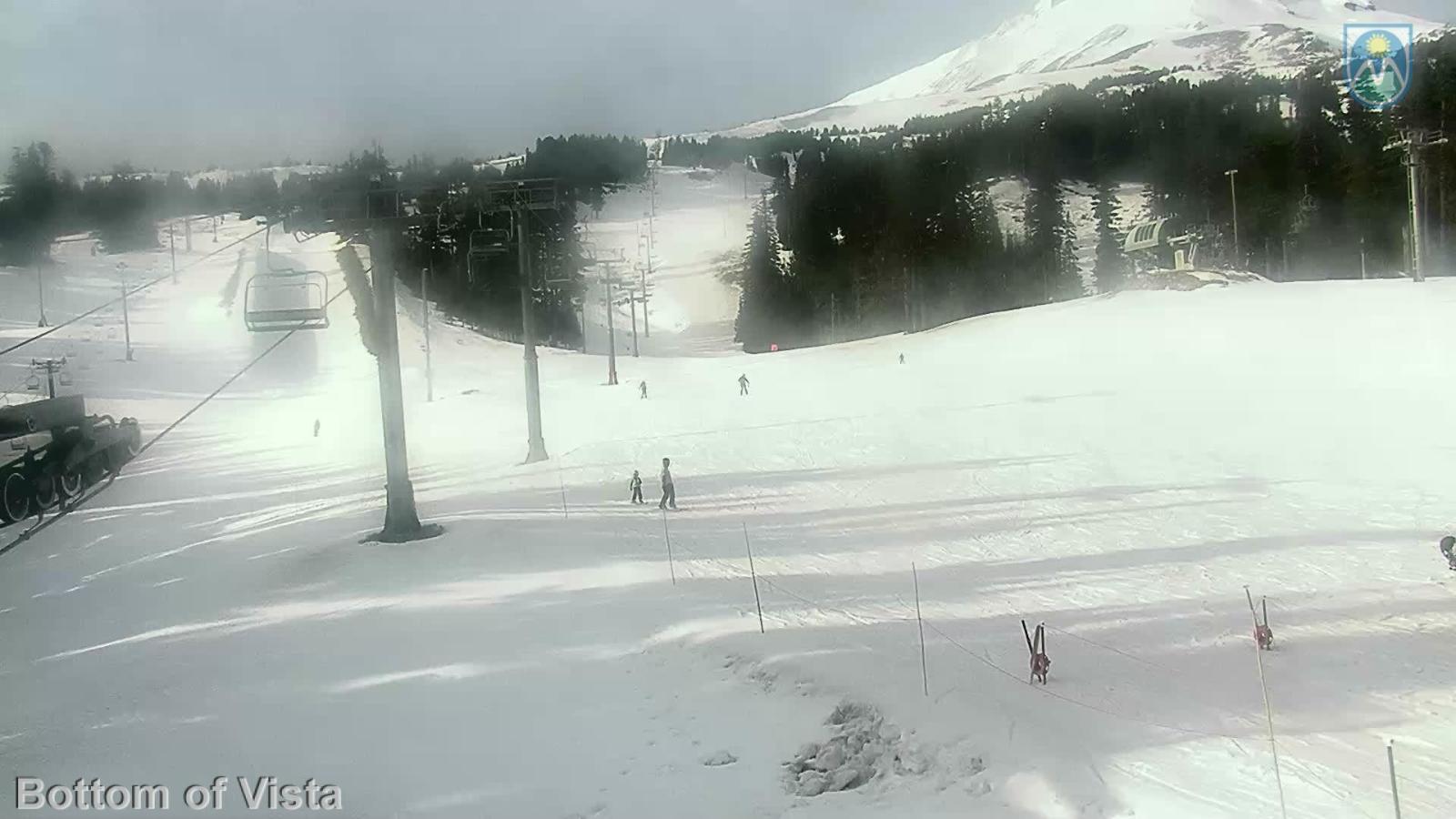 Webcam Mount Hood Meadows: Bottom of Vista