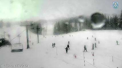 Mount Hood Meadows: Bottom of Vista (mthood.info)