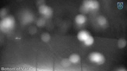 Mount Hood Meadows: Bottom of Vista (mthood.info)