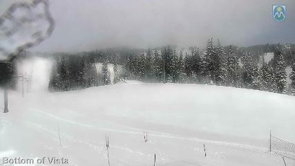 Mount Hood Meadows: Bottom of Vista (mthood.info)