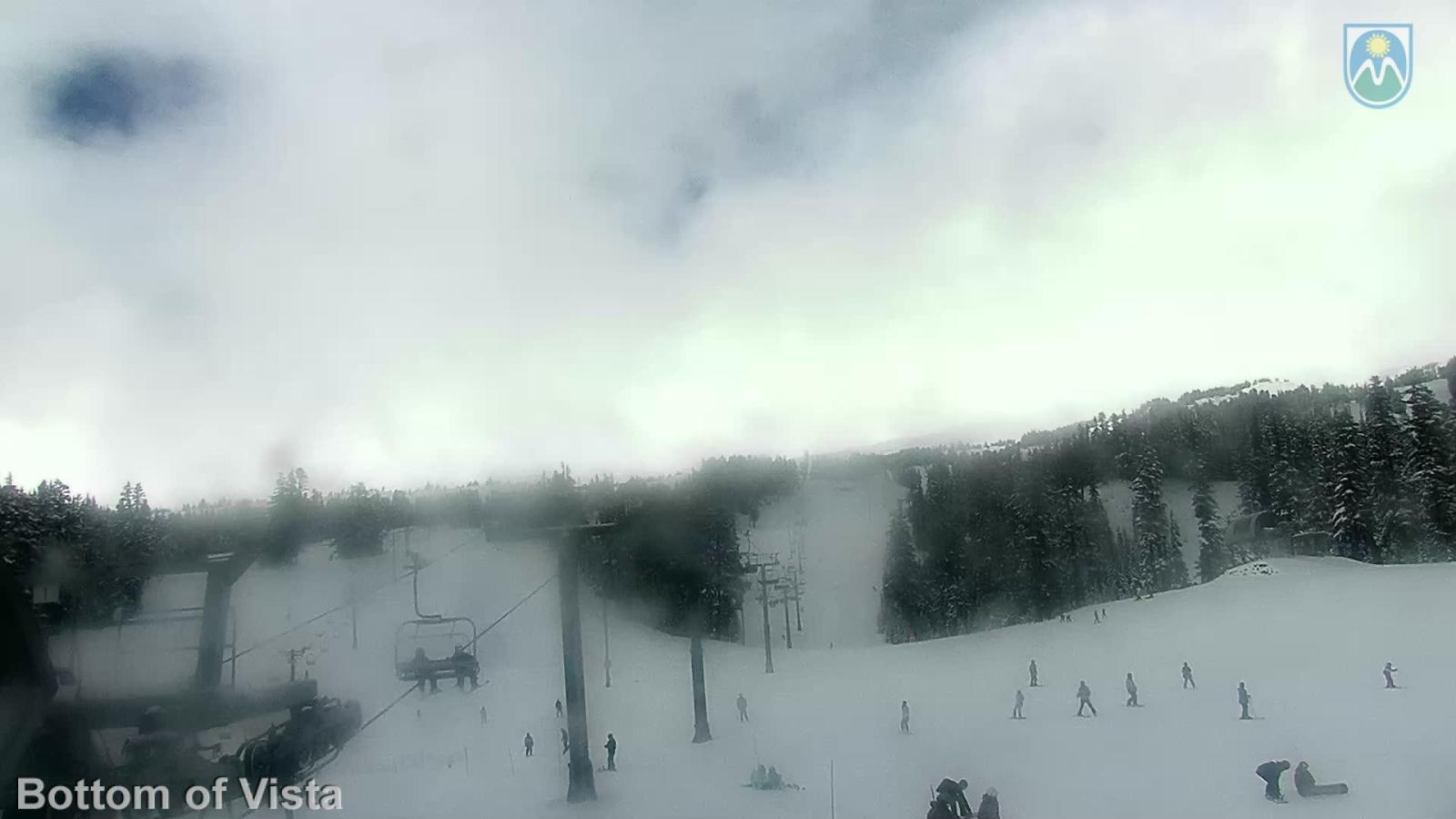 Webcam Mount Hood Meadows: Bottom of Vista