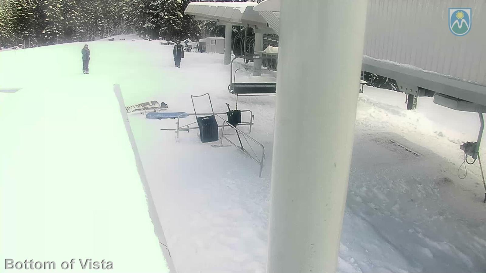 Webcam Mount Hood Meadows: Bottom of Vista