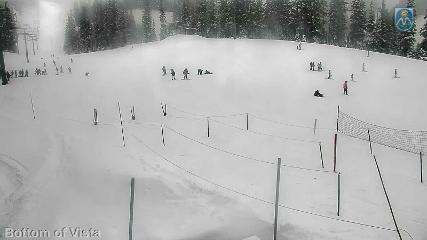 Mount Hood Meadows: Bottom of Vista (mthood.info)
