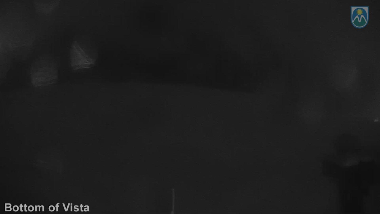 Webcam Mount Hood Meadows: Bottom of Vista