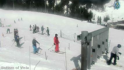 Mount Hood Meadows: Bottom of Vista (mthood.info)
