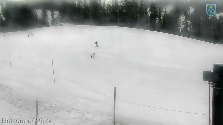 Webcam Mount Hood Meadows: Bottom of Vista