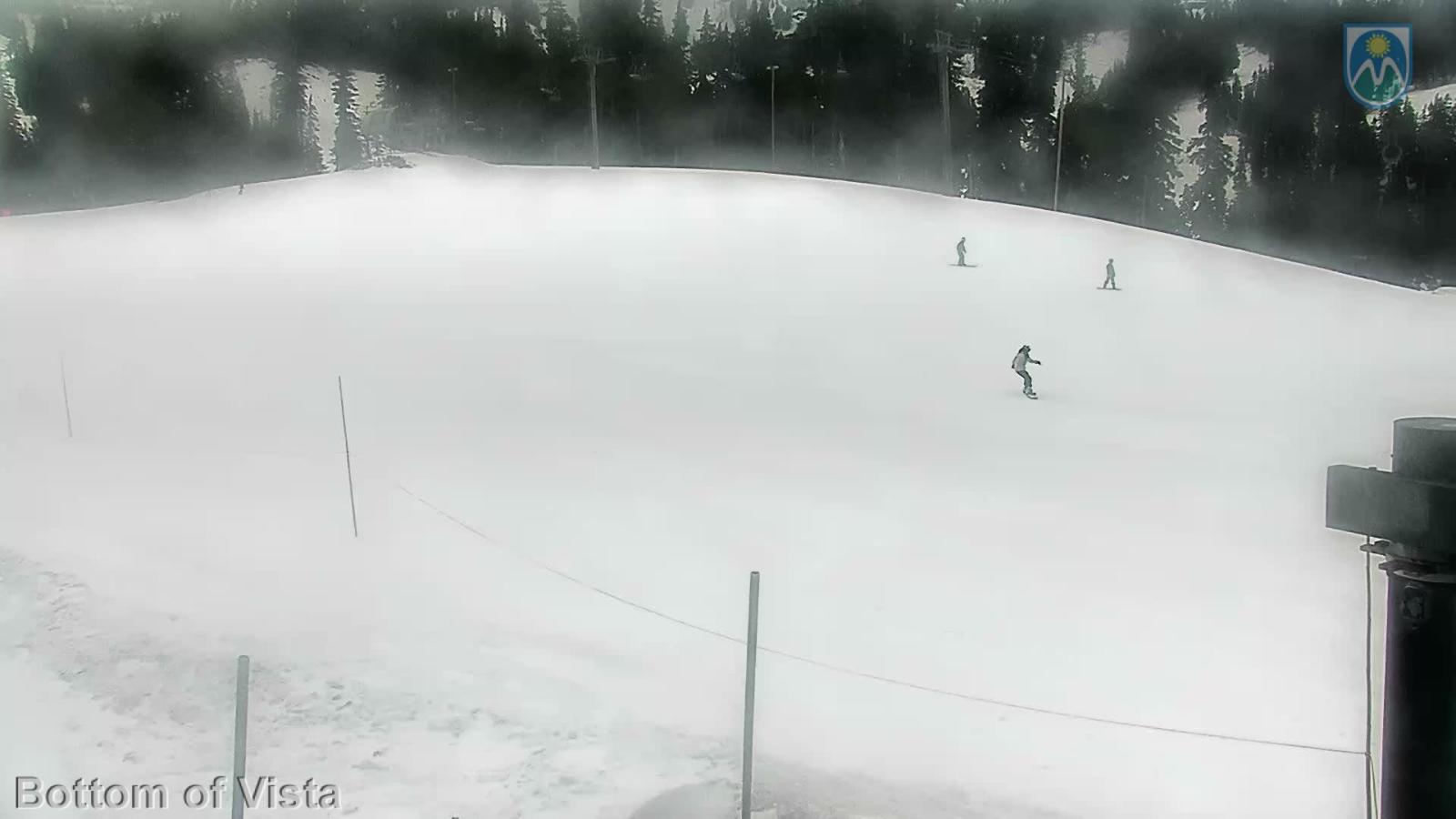 Webcam Mount Hood Meadows: Bottom of Vista