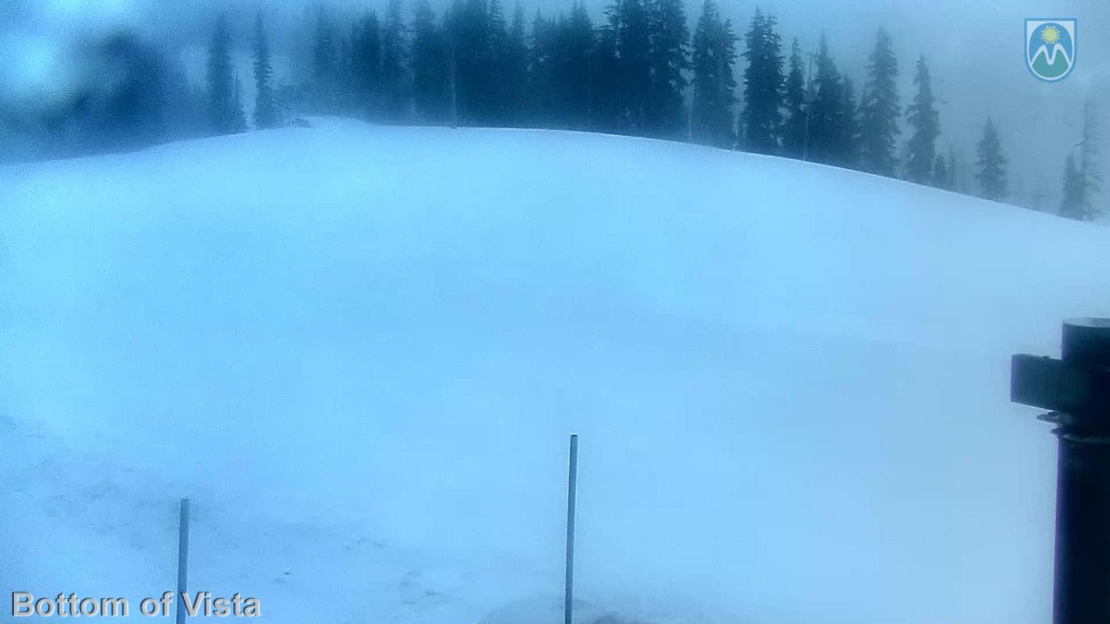 Webcam Mount Hood Meadows: Bottom of Vista