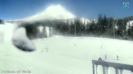 Mount Hood Meadows: Bottom of Vista (mthood.info)