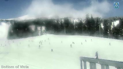 Mount Hood Meadows: Bottom of Vista (mthood.info)