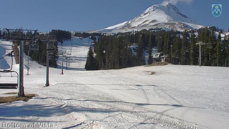Webcam Mount Hood Meadows: Bottom of Vista