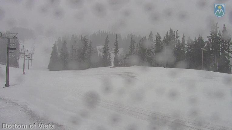 Webcam Mount Hood Meadows: Bottom of Vista