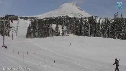 Mount Hood Meadows: Bottom of Vista (mthood.info)