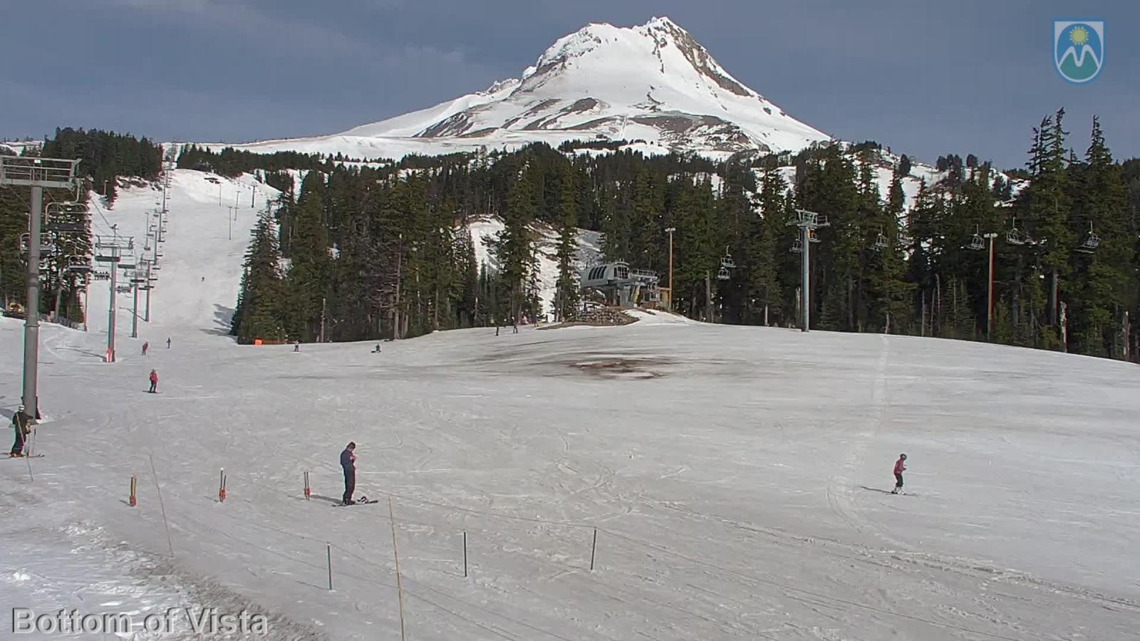 Webcam Mount Hood Meadows: Bottom of Vista