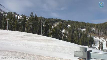 Mount Hood Meadows: Bottom of Vista (mthood.info)