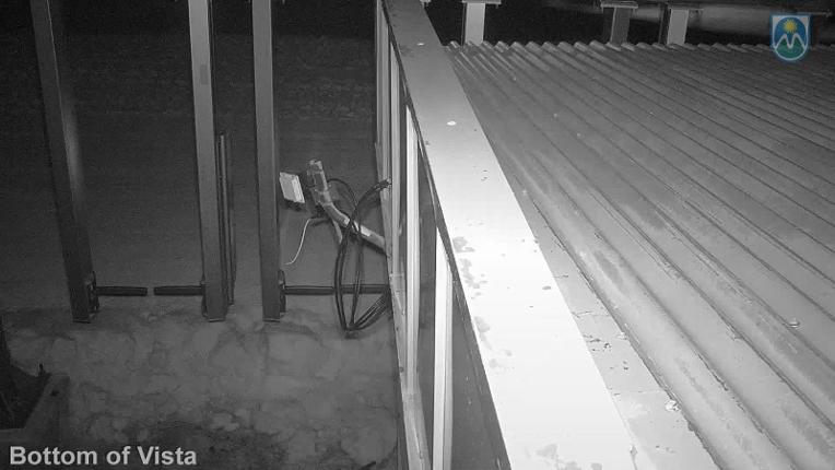 Webcam Mount Hood Meadows: Bottom of Vista