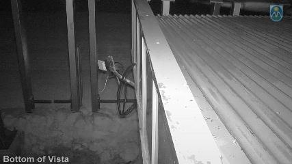 Mount Hood Meadows: Bottom of Vista (mthood.info)