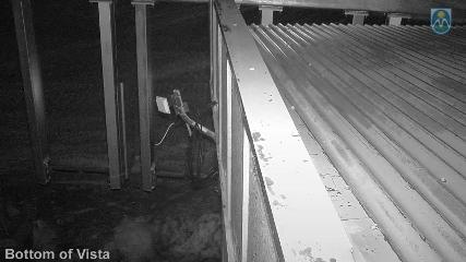 Mount Hood Meadows webcam