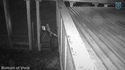 Mount Hood Meadows: Bottom of Vista (mthood.info)