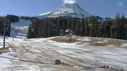 Mount Hood Meadows: Bottom of Vista (mthood.info)