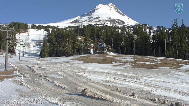 Webcam Mount Hood Meadows: Bottom of Vista