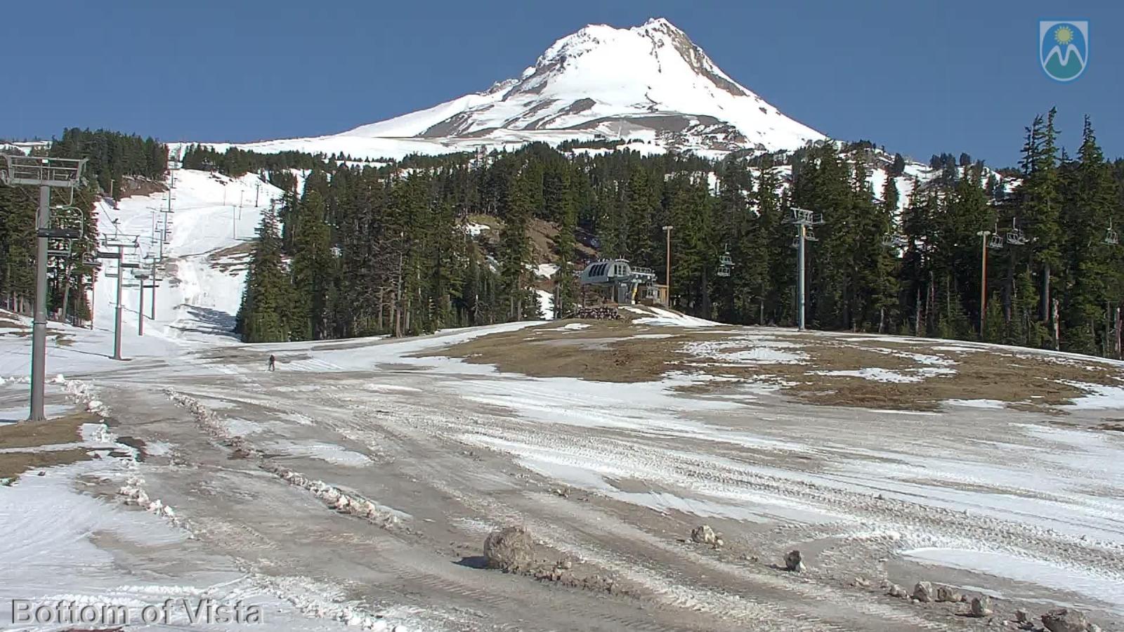 Webcam Mount Hood Meadows: Bottom of Vista