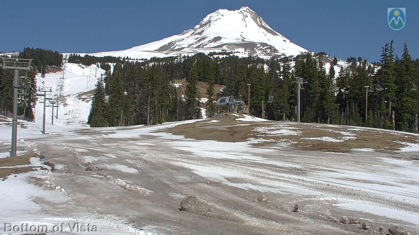 Webcam Mount Hood Meadows: Bottom of Vista