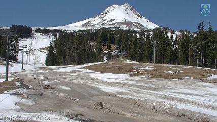 Mount Hood Meadows: Bottom of Vista (mthood.info)