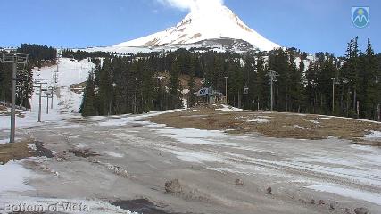 Mount Hood Meadows: Bottom of Vista (mthood.info)