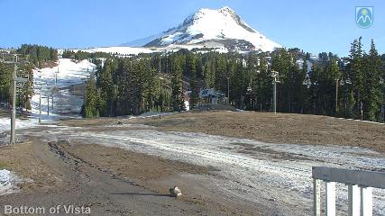 Mount Hood Meadows: Bottom of Vista (mthood.info)
