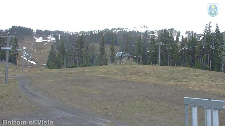 Webcam Mount Hood Meadows: Bottom of Vista