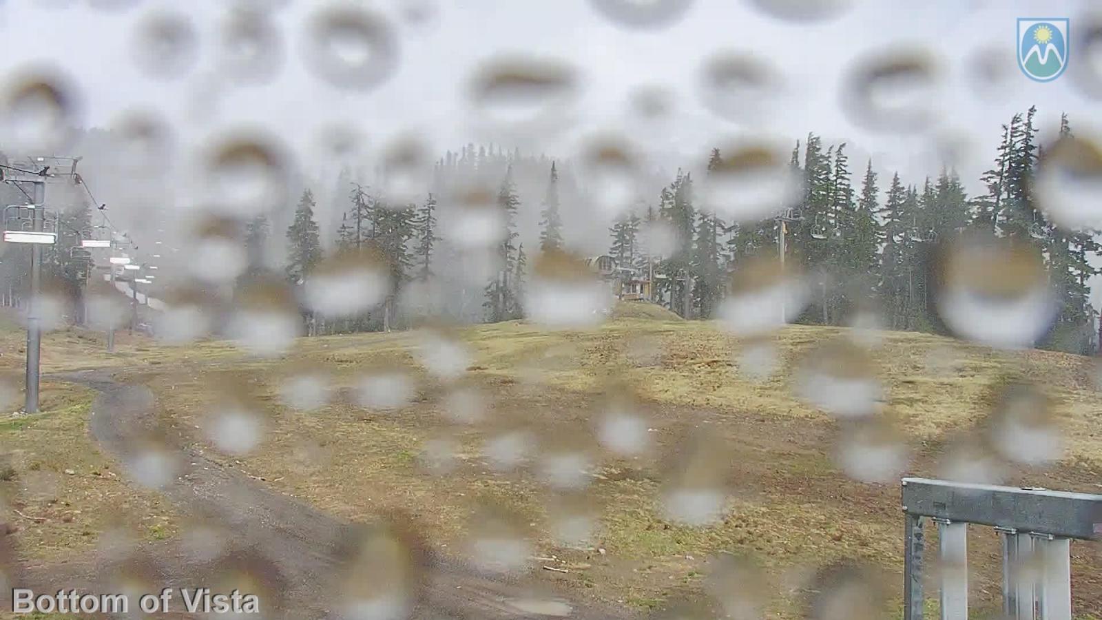 Webcam Mount Hood Meadows: Bottom of Vista