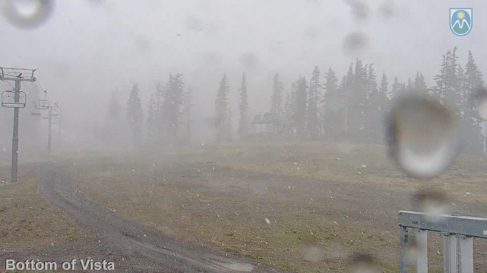 Webcam Mount Hood Meadows: Bottom of Vista