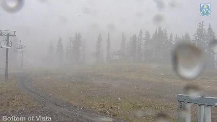 Mount Hood Meadows: Bottom of Vista (mthood.info)