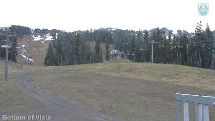 Mount Hood Meadows: Bottom of Vista (mthood.info)