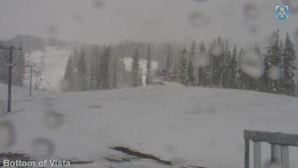 Mount Hood Meadows: Bottom of Vista (mthood.info)