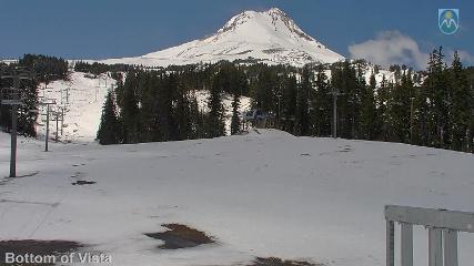 Mount Hood Meadows: Bottom of Vista (mthood.info)