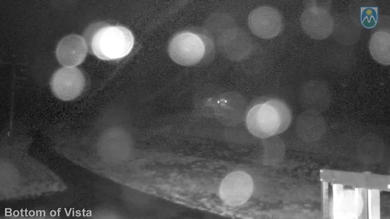 Webcam Mount Hood Meadows: Bottom of Vista