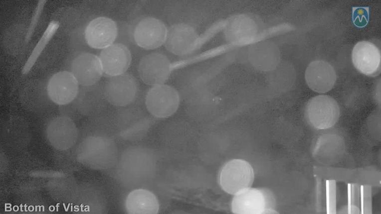 Webcam Mount Hood Meadows: Bottom of Vista