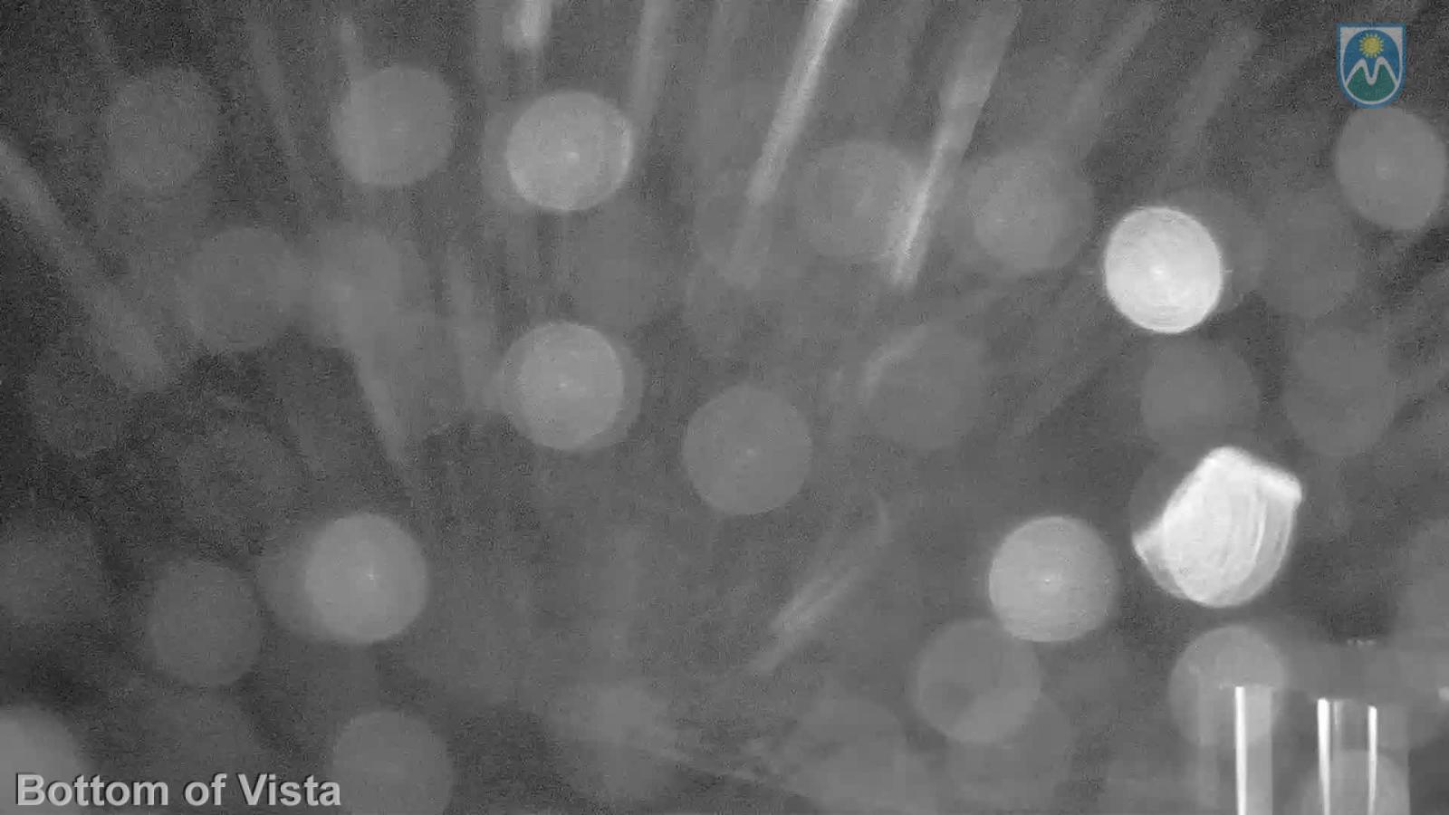 Webcam Mount Hood Meadows: Bottom of Vista