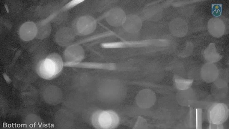 Webcam Mount Hood Meadows: Bottom of Vista