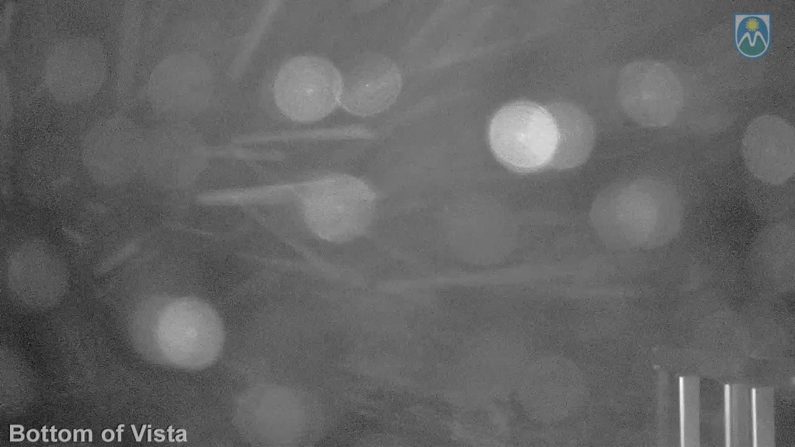 Webcam Mount Hood Meadows: Bottom of Vista