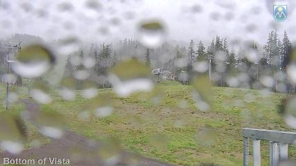 Mount Hood Meadows: Bottom of Vista (mthood.info)