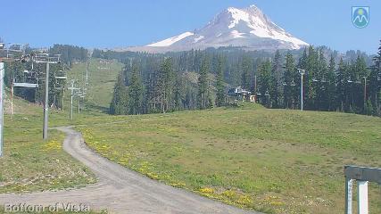 Mount Hood Meadows: Bottom of Vista (mthood.info)