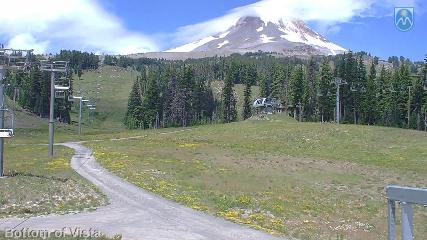 Mount Hood Meadows: Bottom of Vista (mthood.info)