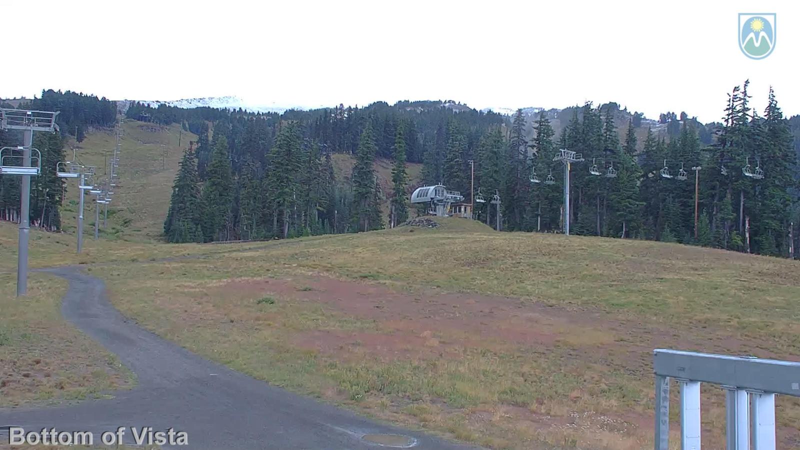 Webcam Mount Hood Meadows: Bottom of Vista