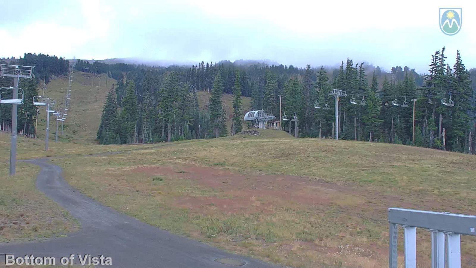Webcam Mount Hood Meadows: Bottom of Vista