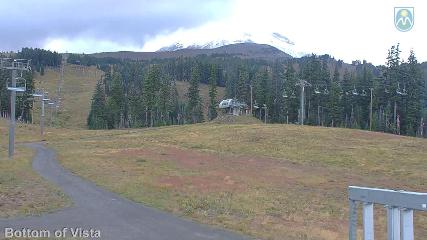 Mount Hood Meadows: Bottom of Vista (mthood.info)