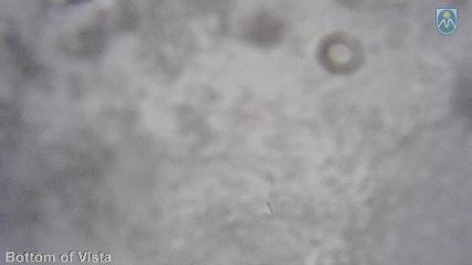 Mount Hood Meadows webcam
